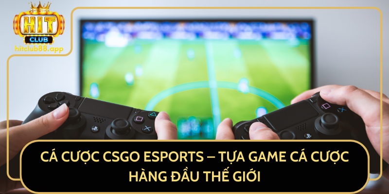 Cá Cược CSGO Esports - Tựa Game Cá Cược Hàng Đầu Thế Giới Cá Cược CSGO Esports - Tựa Game Cá Cược Hàng Đầu Thế Giới