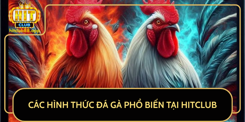 Các Hình Thức Đá Gà Phổ Biến Tại HitClub