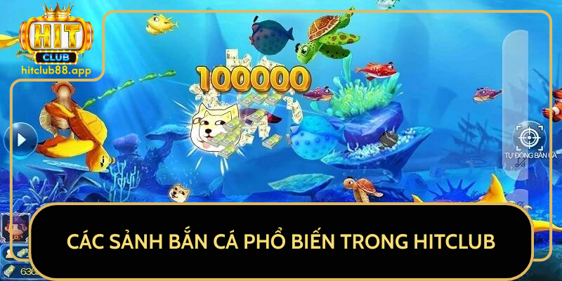 Các Sảnh Bắn Cá Phổ Biến Trong HitClub Các Sảnh Bắn Cá Phổ Biến Trong HitClub