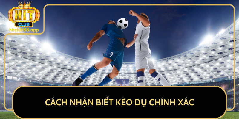 Cách Nhận Biết Kèo Dụ Chính Xác Cách Nhận Biết Kèo Dụ Chính Xác