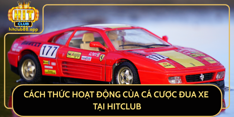 Cách Thức Hoạt Động Của Cá Cược Đua Xe Tại HitClub Cách Thức Hoạt Động Của Cá Cược Đua Xe Tại HitClub