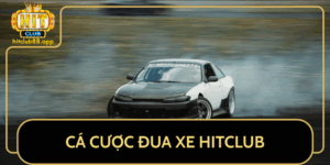 Chinh Phuc Ca Cuoc Dua Xe Tai Hitclub Bi Quyet Thang 100