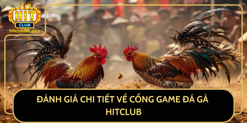 Đánh Giá Chi Tiết Về Cổng Game Đá Gà HitClub