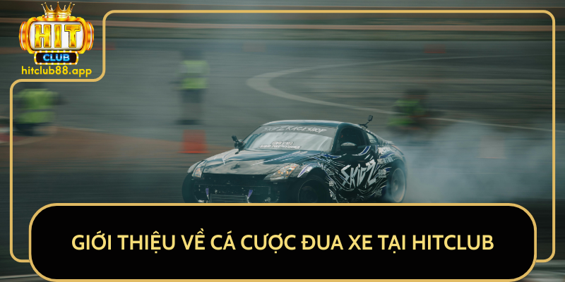 Giới Thiệu Về Cá Cược Đua Xe Tại HitClub Giới Thiệu Về Cá Cược Đua Xe Tại HitClub