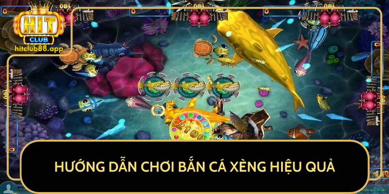 Hướng Dẫn Chơi Bắn Cá Xèng Hiệu Quả Hướng Dẫn Chơi Bắn Cá Xèng Hiệu Quả