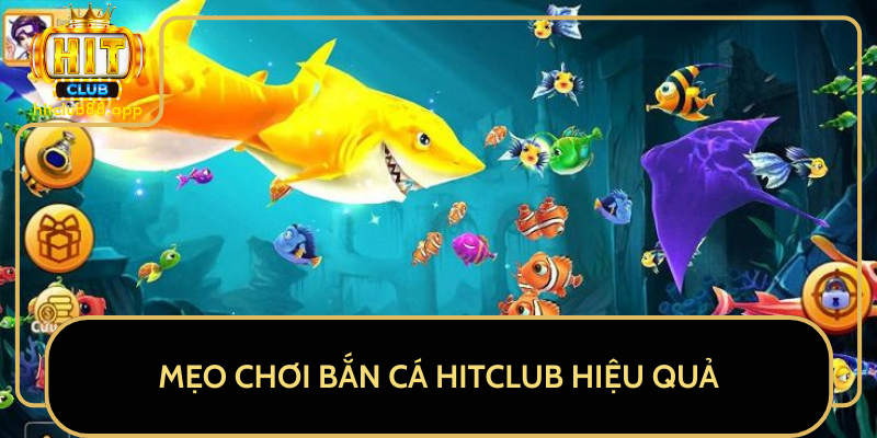 Mẹo Chơi Bắn Cá HitClub Hiệu Quả Mẹo Chơi Bắn Cá HitClub Hiệu Quả