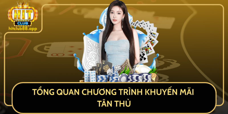 Tổng Quan Chương Trình Khuyến Mãi Tân Thủ Tổng Quan Chương Trình Khuyến Mãi Tân Thủ
