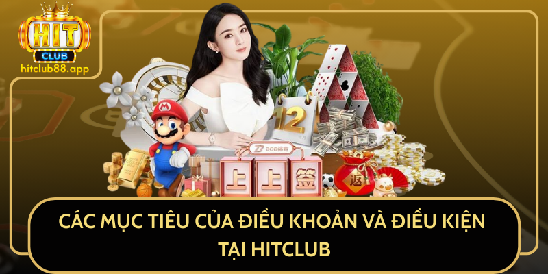 Các Mục Tiêu Của Điều Khoản Và Điều Kiện Tại HitClub