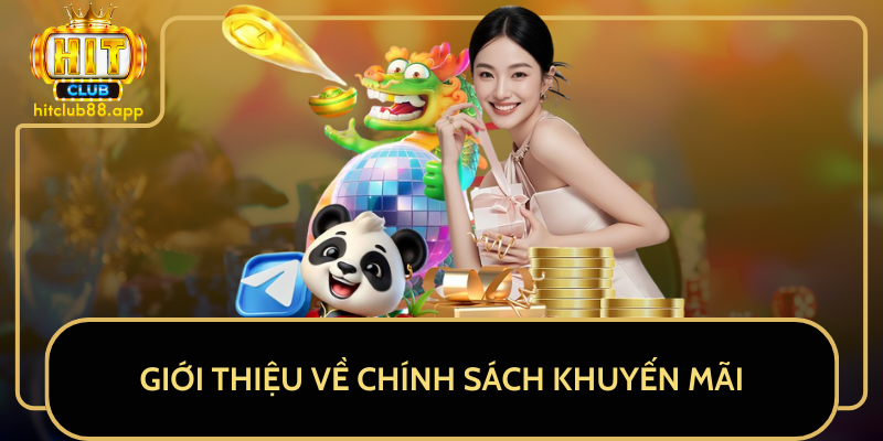 Giới Thiệu Về Chính Sách Khuyến Mãi